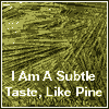 What Flavour Are You? I am a subtle taste, like Pine.
