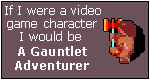 Si fuera un personaje de videojuego seria...un aventurero del Gauntlet